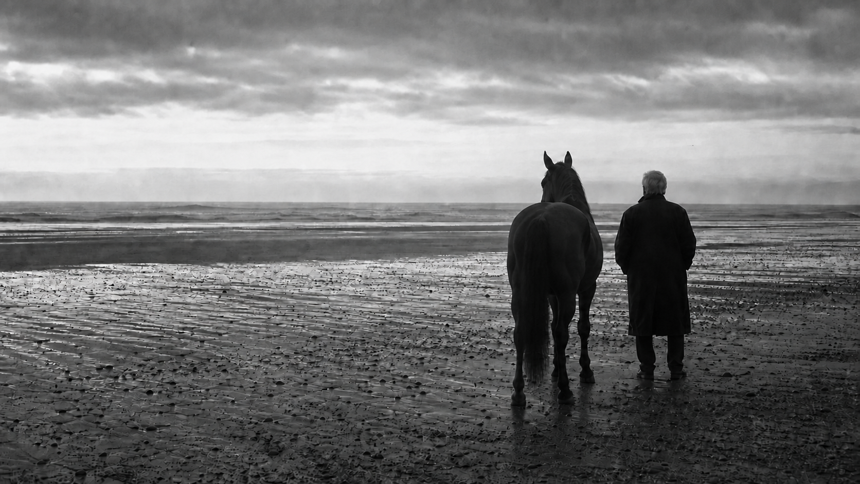 A man and a horse standing together, facing the sea beneath a wide sky