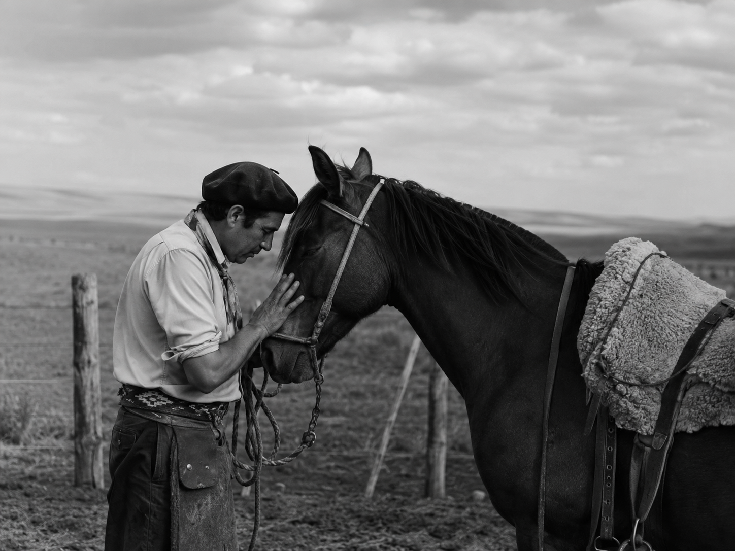 A gaucho resting his forehead against his horse
