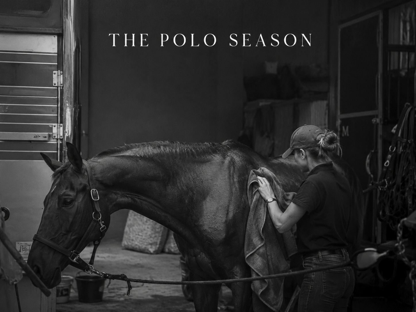 A groom drying a horse after work during the polo season
