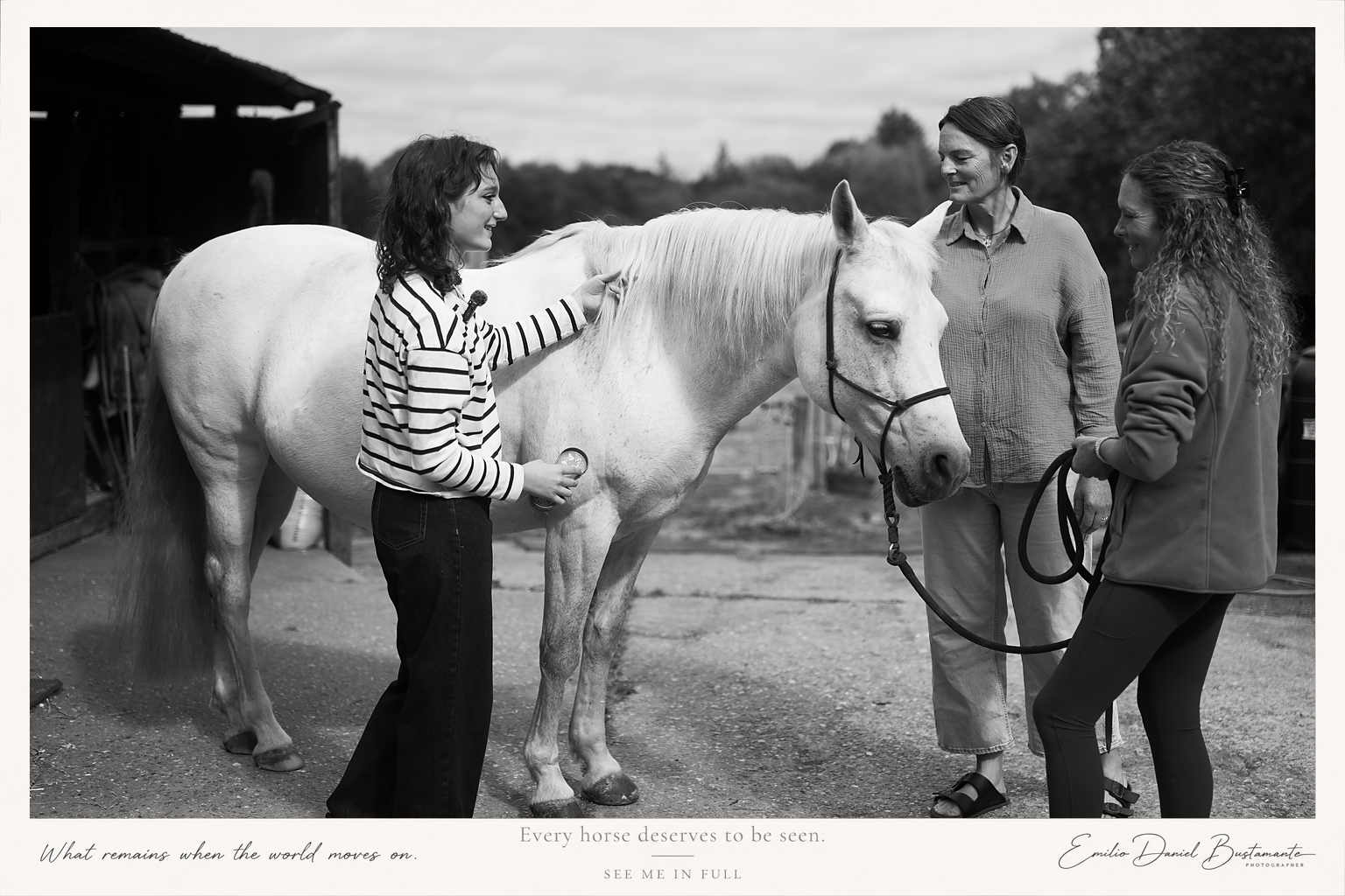 A woman resting her forehead against a horse in warm evening light