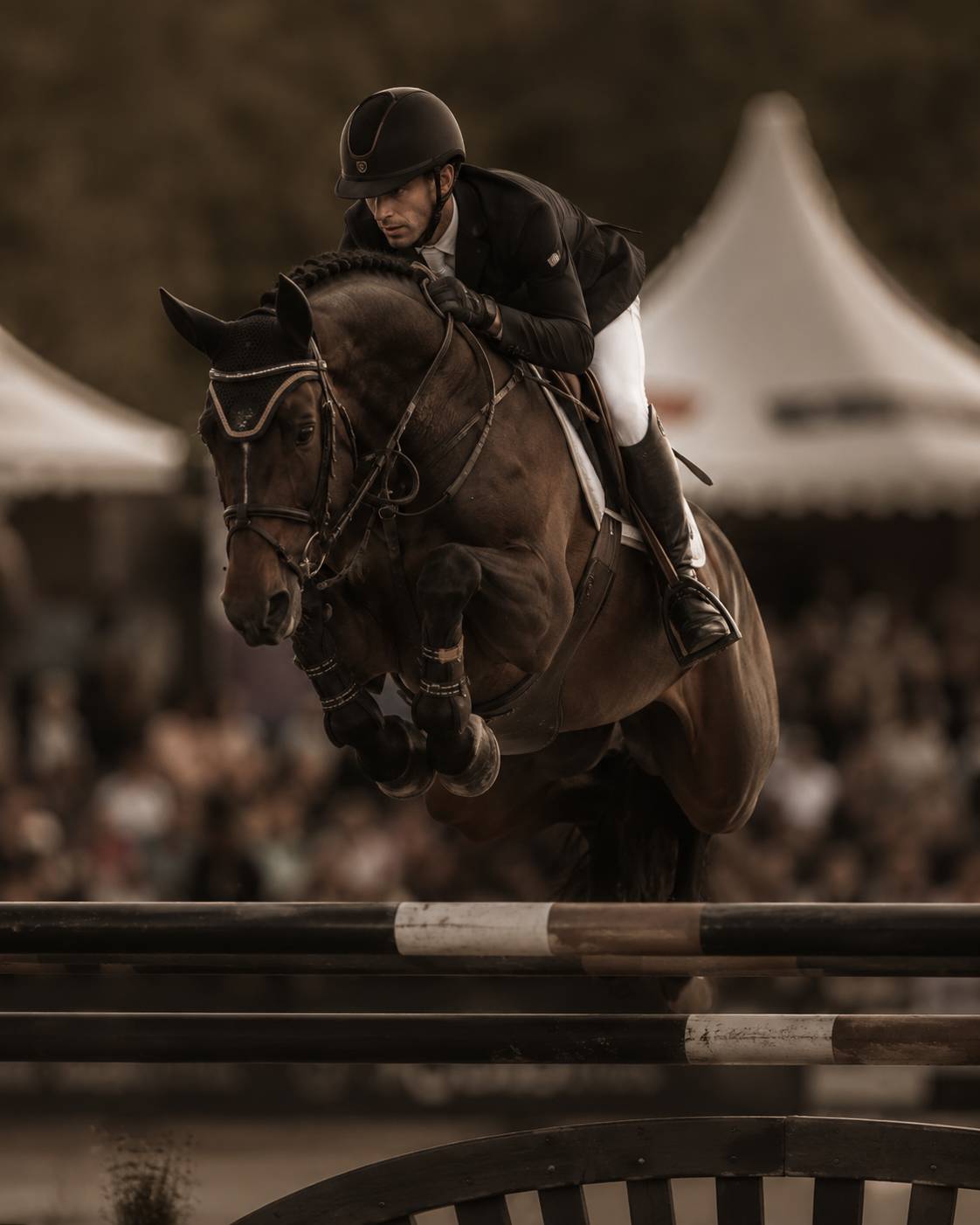Horse and rider at the height of a show jump, rendered in sepia